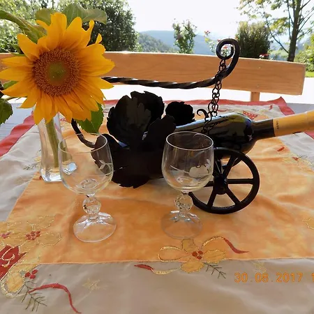 Panorama Daire Zreče