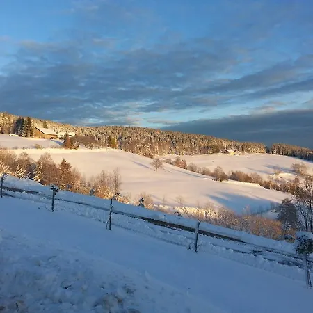 Panorama *