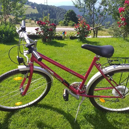 Lägenhet Panorama Zreče